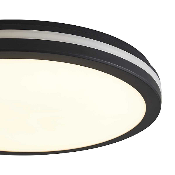 Потолочный светильник Freya Руа / Rua FR6160CL-L40B