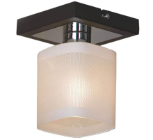 Потолочный светильник Lussole Costanzo LSL-9007-01