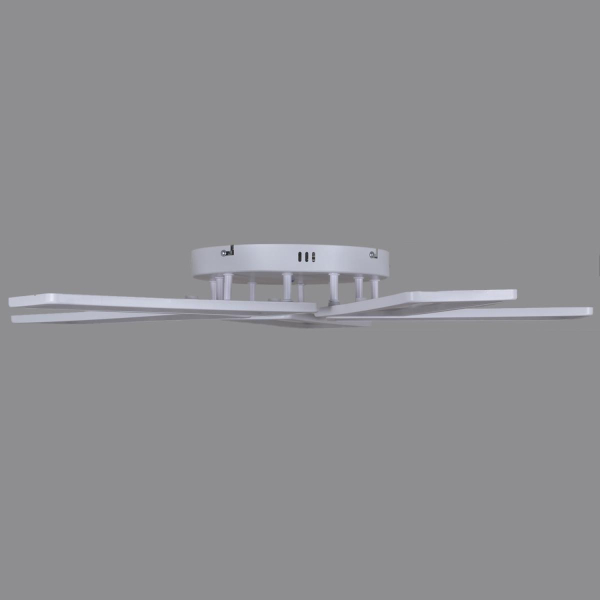 Потолочный светильник Reluce 03629-0.3-05B WH