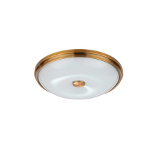 Потолочный светильник Odeon Light Walli Pelow 4956/4