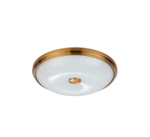 Потолочный светильник Odeon Light Walli Pelow 4956/4