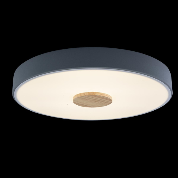 Потолочный светодиодный светильник Loft IT Axel 10003/24 grey Потолочный светодиодный светильник Loft IT Axel 10003/24 grey