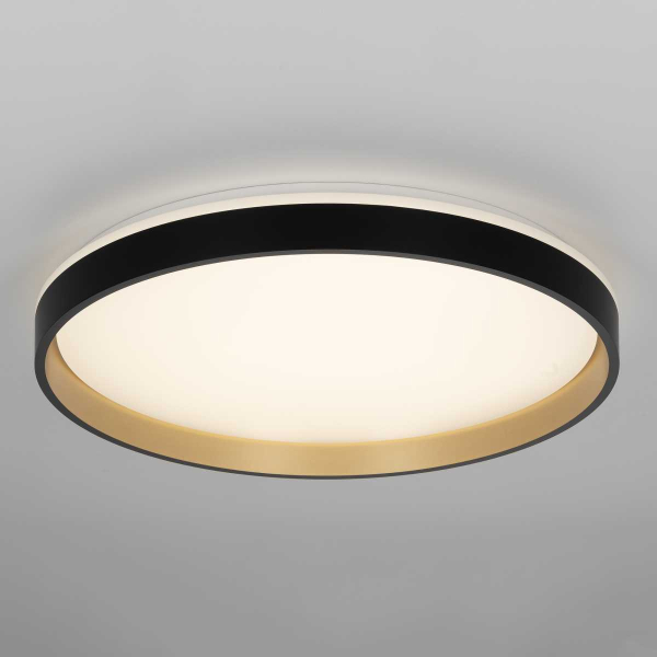 Потолочный светильник Citilux CL753511G