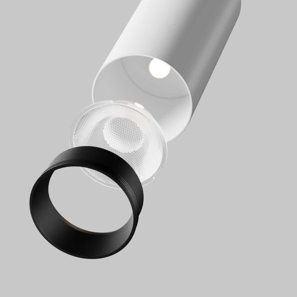 Потолочный светильник Maytoni Technical C055CL-L12W2.7K-SS-W