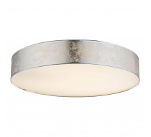 Потолочный светодиодный светильник Globo Amy I 15188D2