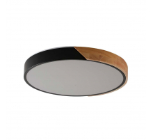 Потолочный светильник Zortes ALBERRO ZRS.01237.90