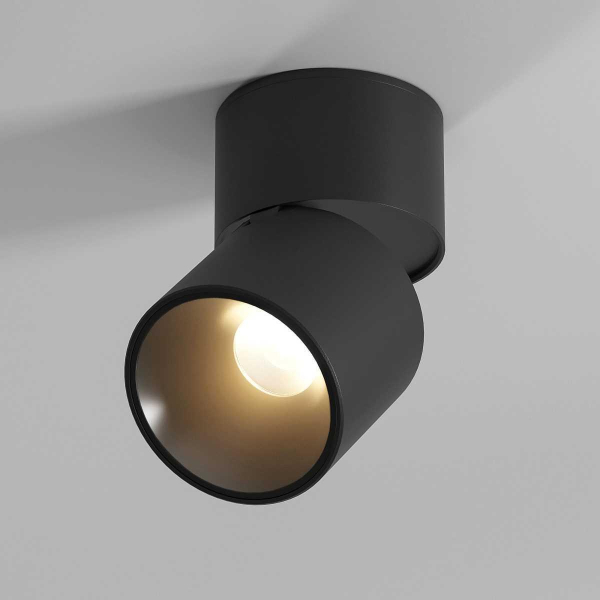 Потолочный светильник Elektrostandard 25112/LED a067488 Потолочный светильник Elektrostandard 25112/LED a067488
