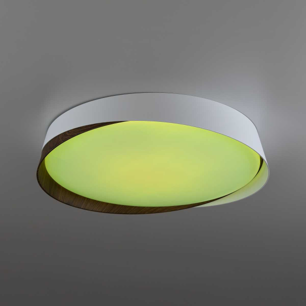 Потолочный светильник Citilux CL754350G