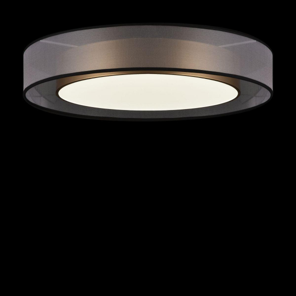 Потолочный светодиодный светильник Freya Zoticus FR6005CL-L48G Потолочный светодиодный светильник Freya Zoticus FR6005CL-L48G