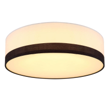 Потолочный светодиодный светильник Globo Maggy 15385D1