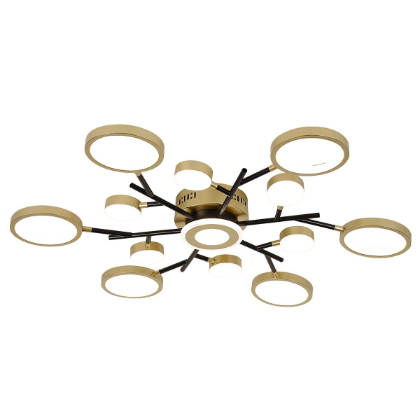 Потолочный светодиодный светильник F-Promo Hybrid 4686-13C