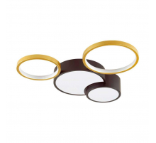 Потолочный светодиодный светильник Lumion Ledio Norbert 5255/64CL