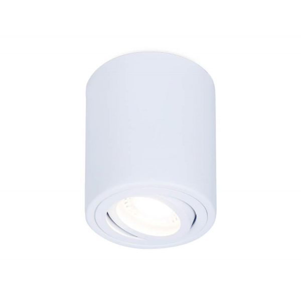 Потолочный светильник Ambrella light Techno Spot TN225 Потолочный светильник Ambrella light Techno Spot TN225