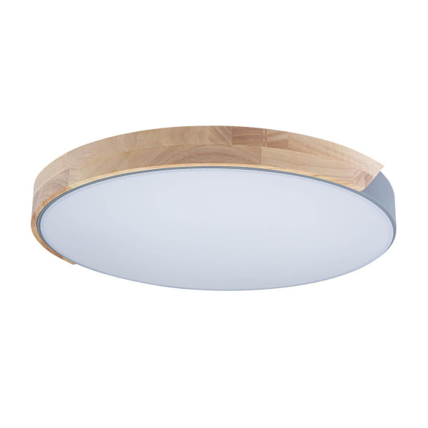 Потолочный светодиодный светильник Loft IT Axel 10004/36 grey Потолочный светодиодный светильник Loft IT Axel 10004/36 grey