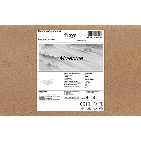 Потолочный светильник Freya Молекула / Molecule FR6080CL-L100W
