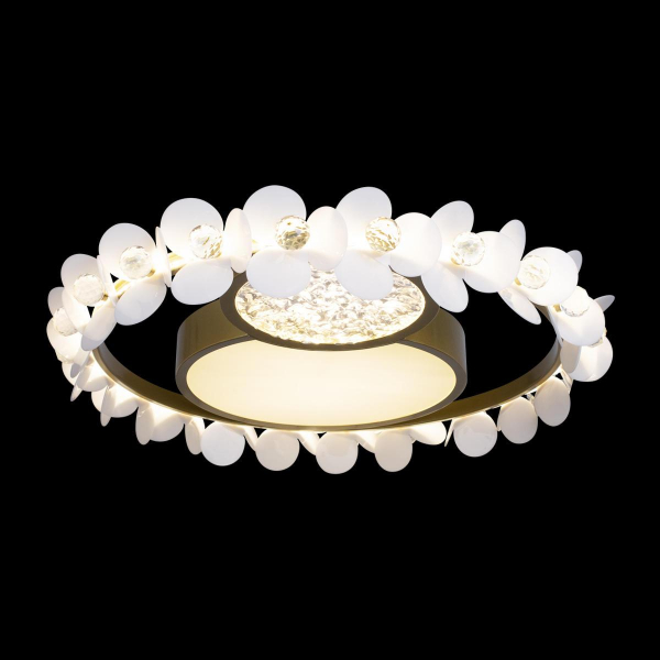 Потолочный светодиодный светильник Loft IT Bride 10174 Потолочный светодиодный светильник Loft IT Bride 10174