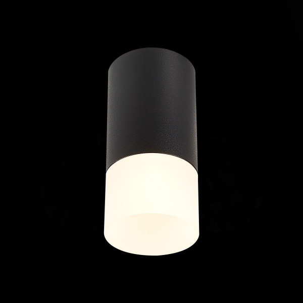 Потолочный светильник ST Luce ST100.412.01 Потолочный светильник ST Luce ST100.412.01