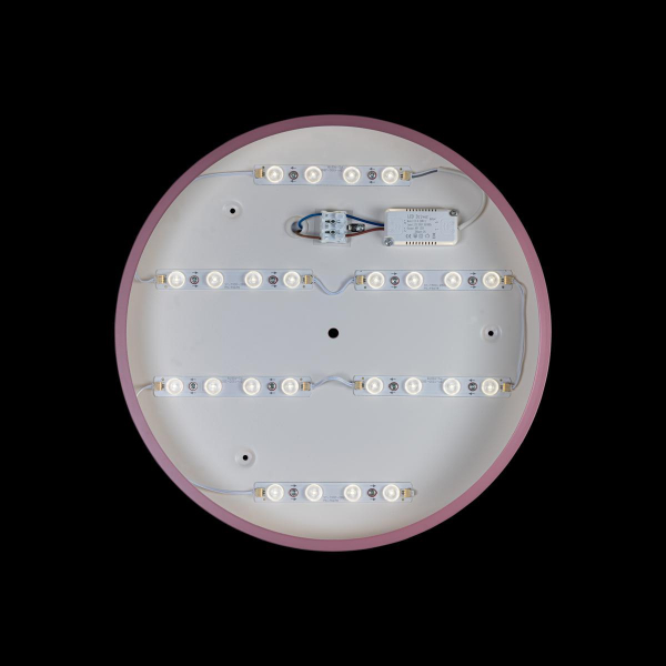 Потолочный светодиодный светильник Loft IT Axel 10003/24 pink Потолочный светодиодный светильник Loft IT Axel 10003/24 pink