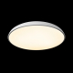 Потолочный светильник LOFT IT Dime 10371 White