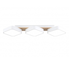 Светильник потолочный Ambrella light COMFORT FL4877