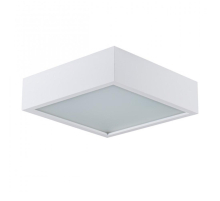 Потолочный светодиодный светильник Kanlux Mersa 25675