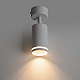 Потолочный светильник Voltega Бис / Bis VGL7373DL-01W1