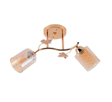 Потолочный светильник ЭкономСвет 12167/2FGD BR+WT