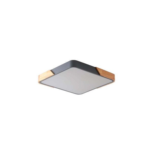 Потолочный светильник Zortes ALBERRO ZRS.01288.24 Потолочный светильник Zortes ALBERRO ZRS.01288.24