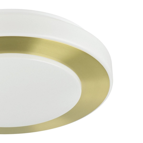 Потолочный светодиодный светильник Eglo LED Carpi 900369 Потолочный светодиодный светильник Eglo LED Carpi 900369