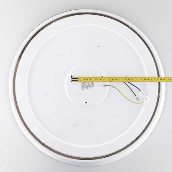 Потолочный светодиодный светильник Citilux Bonny CL754450G