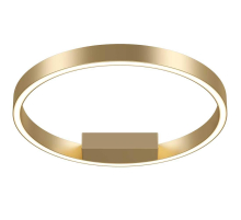 Потолочный светодиодный светильник Maytoni Rim MOD058CL-L25BSK