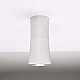 Потолочный светильник Imperium Loft Zyppa Silver H15 314099-26