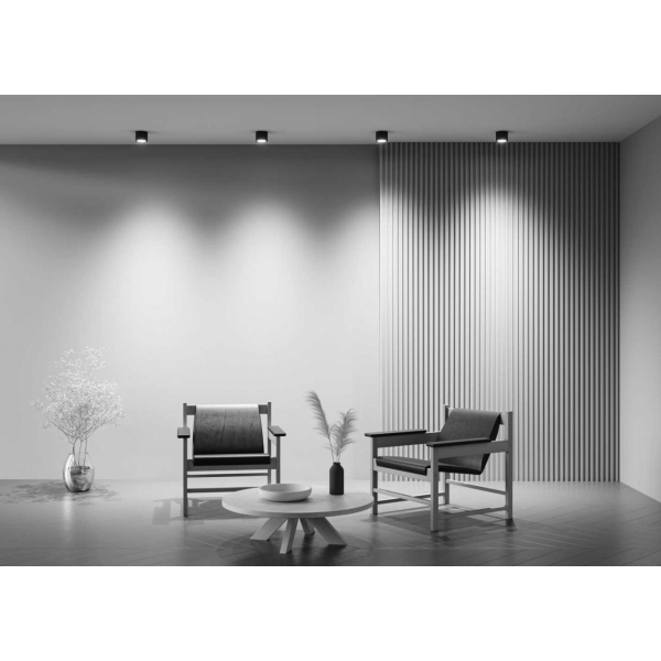 Потолочный светильник Maytoni Technical Rendo C095CL-GX53-B Потолочный светильник Maytoni Technical Rendo C095CL-GX53-B