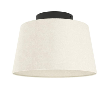 Потолочный светильник Eglo Febres 901259