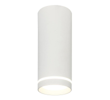 Потолочный светодиодный светильник Escada 20009SMU/02LED SWH