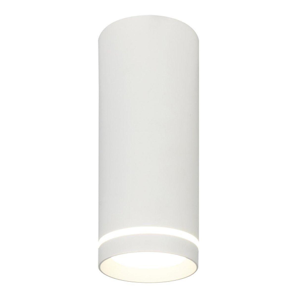 Потолочный светодиодный светильник Escada 20009SMU/02LED SWH Потолочный светодиодный светильник Escada 20009SMU/02LED SWH