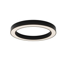 Потолочный светильник Maytoni Technical C093CL-45W3K-B