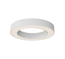 Потолочный светильник Maytoni Technical C093CL-36W3K-W