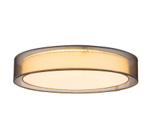 Потолочный светодиодный светильник Globo Teo 15190D4