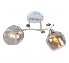 Потолочный светильник Reluce 95143-0.3-02 WH+FGD