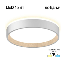 Потолочный светодиодный светильник Citilux Etalon CL750180