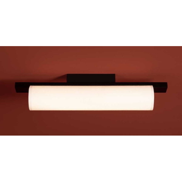 Потолочный светильник Freya Modern Even FR5625CL-L20B