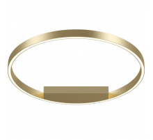 Потолочный светодиодный светильник Maytoni Rim MOD058CL-L35BSK