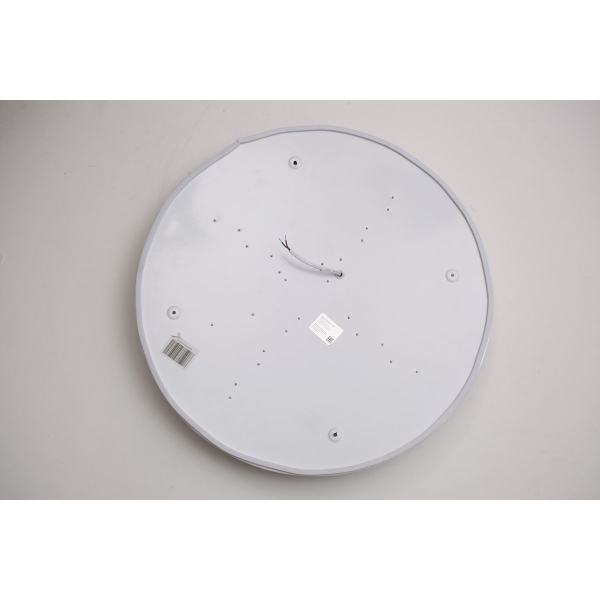 Потолочный светодиодный светильник Escada 10231/S LED
