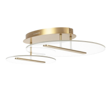 Потолочная светодиодная люстра Lightstar Acrile 738053