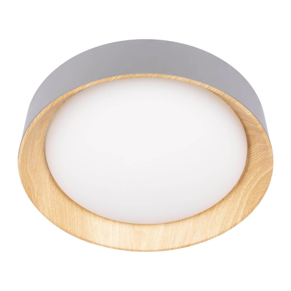 Потолочный светодиодный светильник Loft IT Coin 10202 Grey Потолочный светодиодный светильник Loft IT Coin 10202 Grey