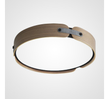 Потолочный светильник Imperium Loft Range 101959-26