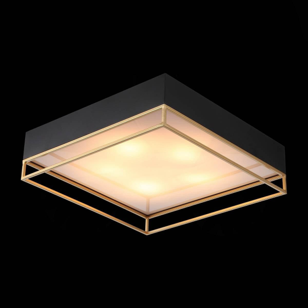 Потолочный светильник ST Luce Chodo SL1127.422.05 Потолочный светильник ST Luce Chodo SL1127.422.05