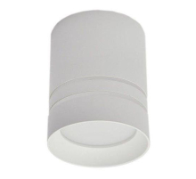 Потолочный светодиодный светильник Elvan NLS-T160M/2-9W-WW-Wh