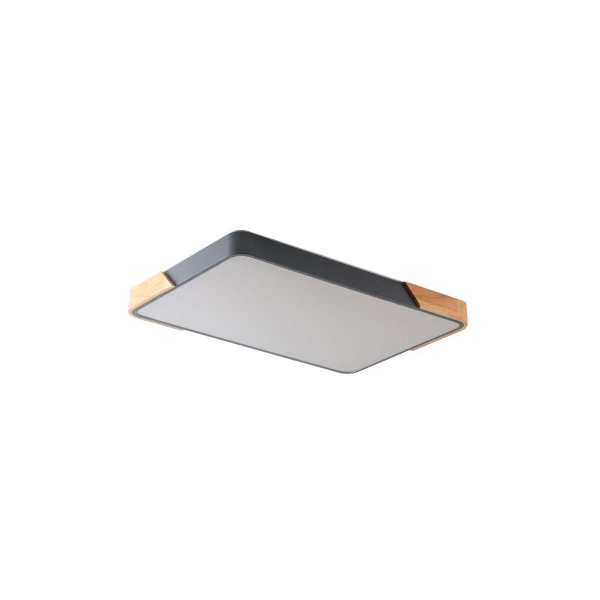 Потолочный светильник Zortes ALBERRO ZRS.01277.60 Потолочный светильник Zortes ALBERRO ZRS.01277.60